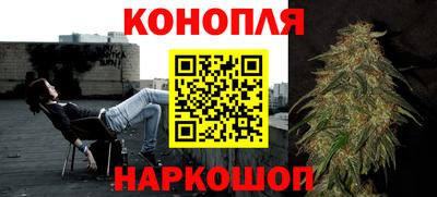 PSILOCYBIN Северобайкальск