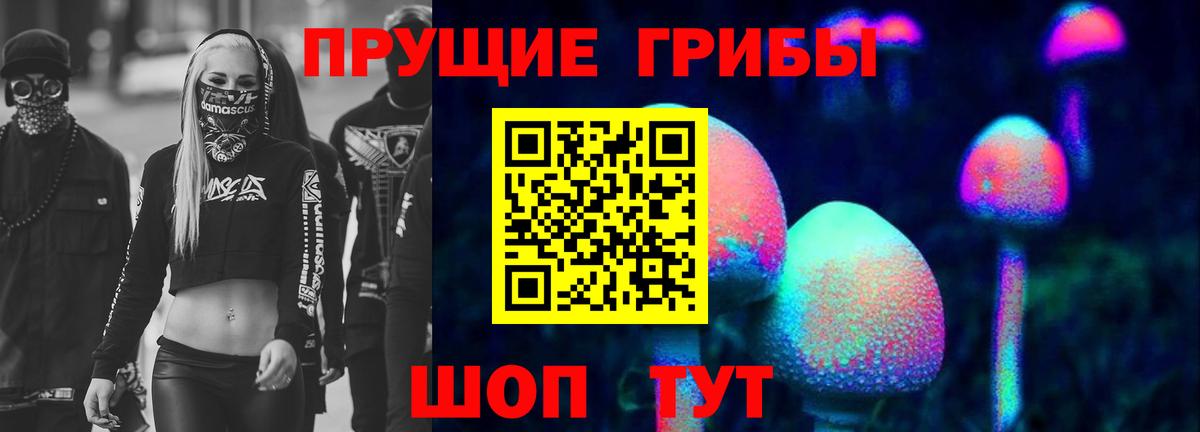 Родники  Псилоцибиновые грибы ЛСД  где найти наркотики  Вход с VPN 